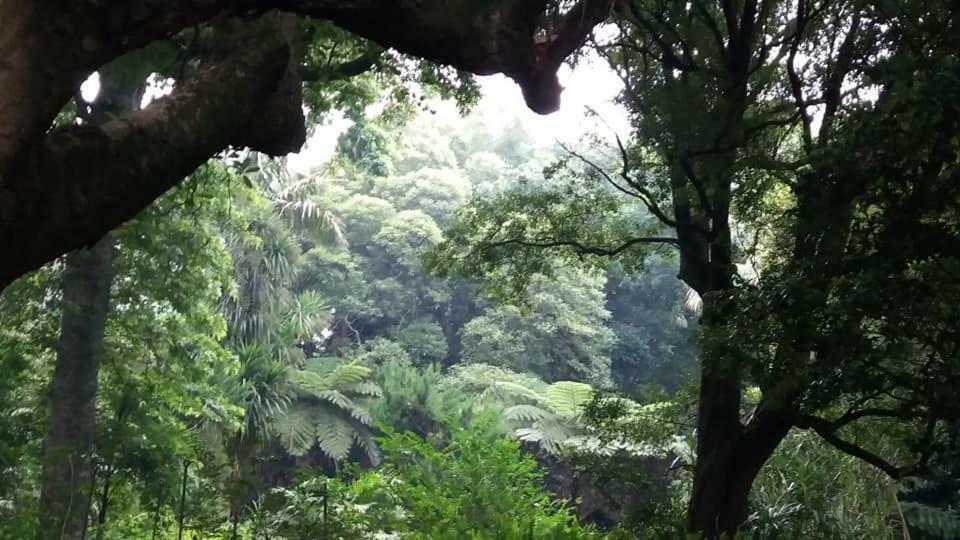 Casa Das Lapinhas Lagoa  Bagian luar foto